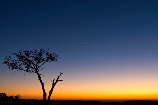 istock Silhouette at the sun rising 864746532