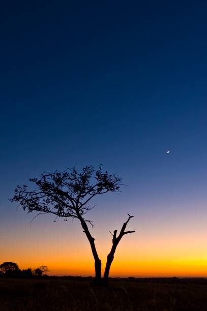 istock Silhouette at the sun rising 864746576