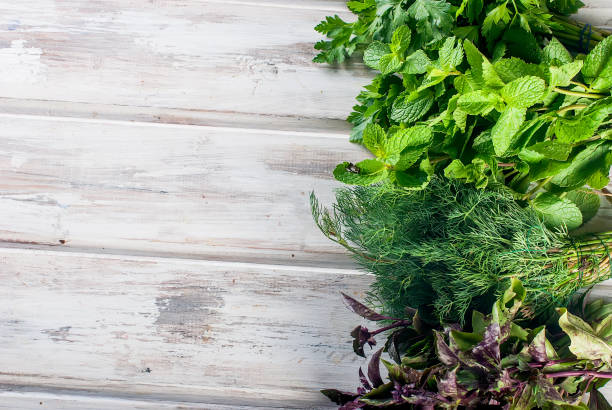 istock fresh spicy herbs, dill, basil, parsley, mint 864747034