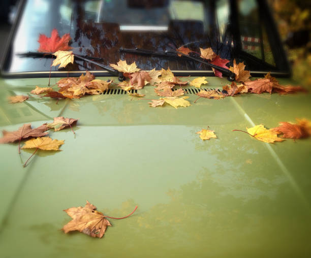istock autumn leaves on retro car 864749178