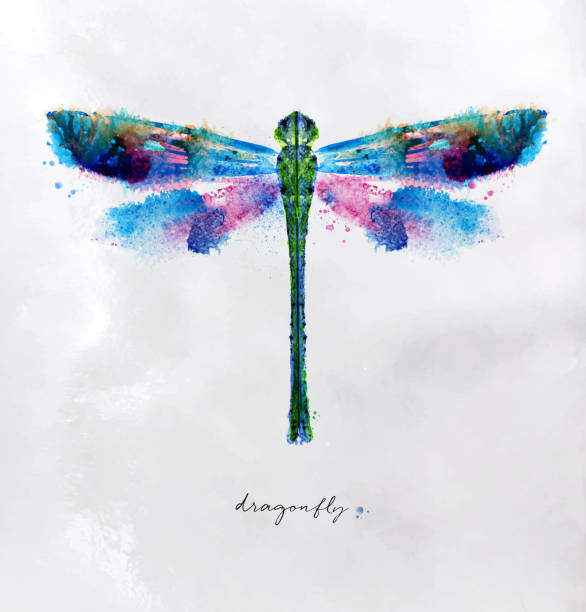 카피 생생한 잠자리 - dragonfly stock illustrations