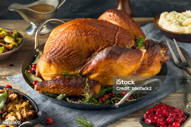 Organic Homemade Smoked Turkey Dinner For Thanksgiving Stock Photo - Download Image Now
