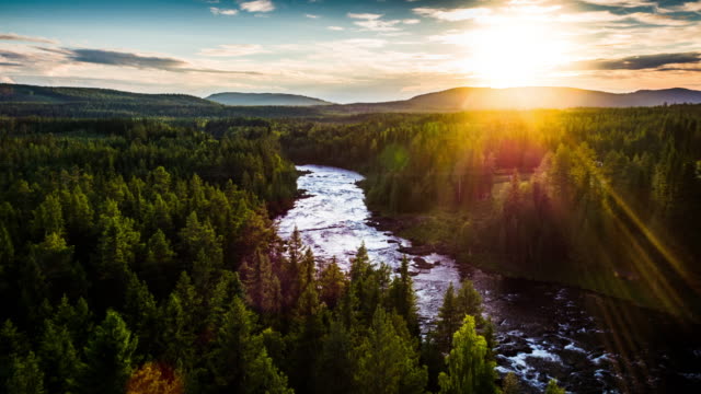 Aerial Lanscape with River and Boreal Forest in Sweden - Scandinavia