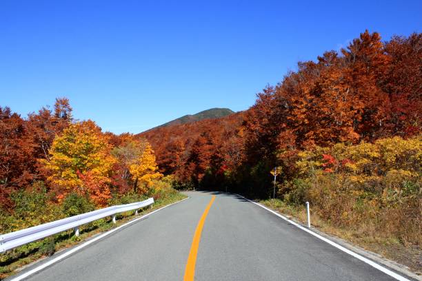 istock Autumn Leaves in Yamagata Japan 864756698