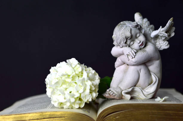 istock Angel and white flower 864757346