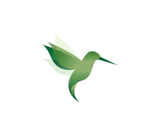 ilustraciones, imágenes clip art, dibujos animados e iconos de stock de colibrí icono - canturrear