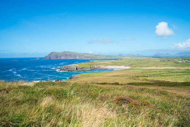 istock Rugged west Irish coast along Wild Atlantic Way 864771736