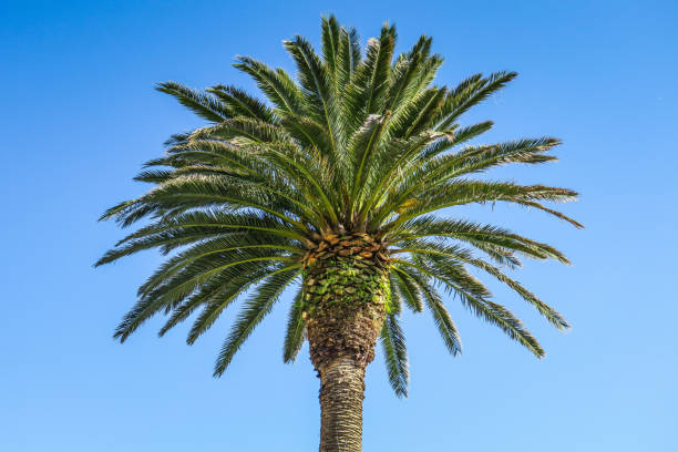 istock Visiting San Sebastian in Spain 864775234