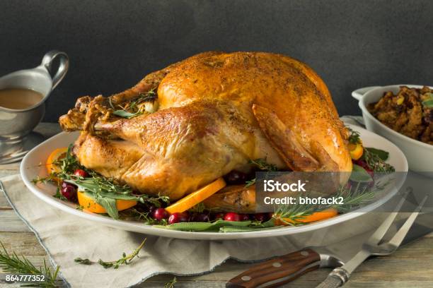 Organic Free Range Homemade Thanksgiving Turkey Stock Photo - Download Image Now - Autumn, Baked, Bean