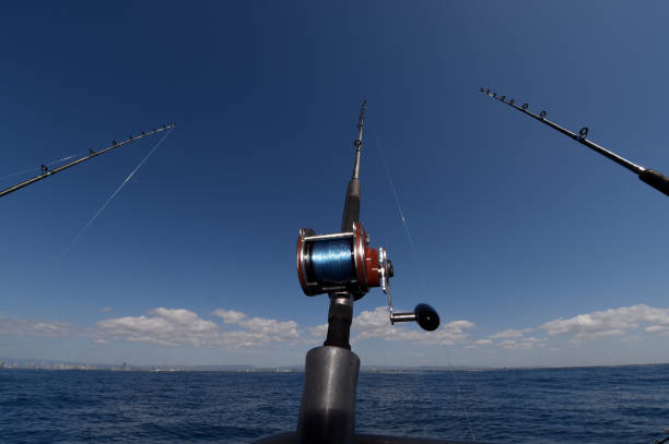 istock Fishing Rod & Reel 864792924