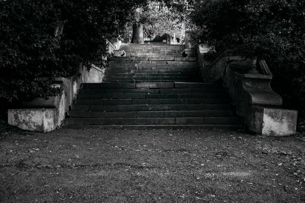 istock Old broken stair and trees, location, bw. 864793068