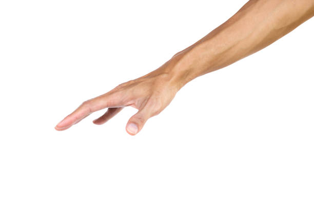 istock Hand gesture like a palm press down isolated on white background with clipping path.  Hand can use many communicate. We can communicate the dumb dialect with hand gestures. 864801346