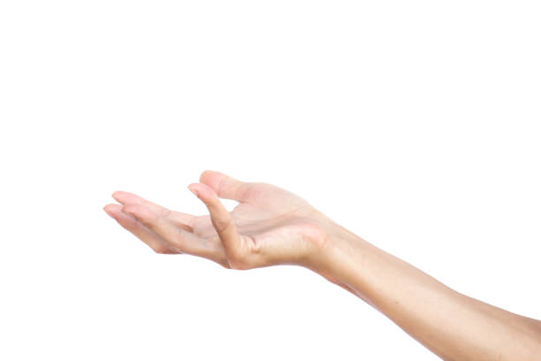 istock Hand gesture open up seem like a holding something empty isolated on white background. Clipping path. . Hand gestures are languages that people can not speak and deaf people communicate with people. 864801348