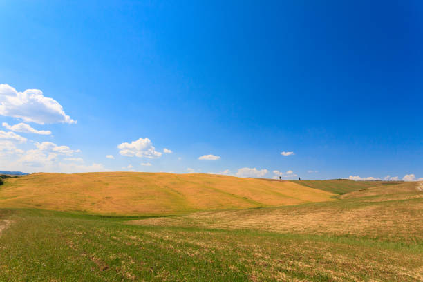 istock Tuscany hills landscape, Italy 864820738