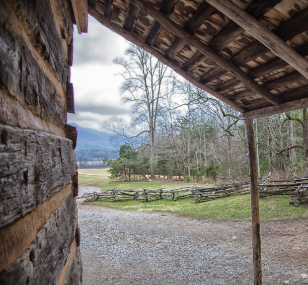 istock View of mountain side from log cabin 864827752