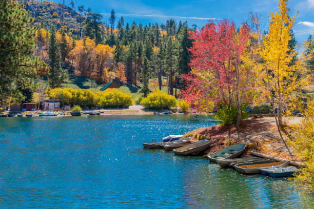 san bernardino county with autumn backit oak tree forest at green valley lake , ca (p) - san bernardino imagens e fotografias de stock