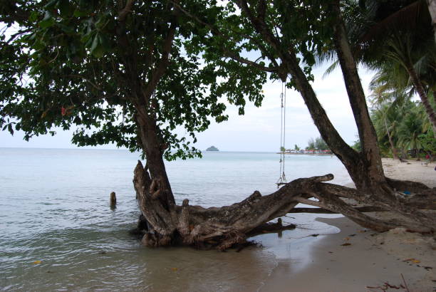 istock Holiday to Thailand Koh chang 864844300