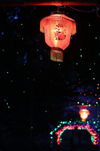 istock Colorful chinese lantern hanging under a bamboo and nice background. 864844858