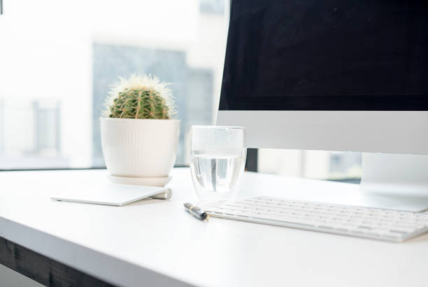 white office desk with computer,water,pen,and cactus pot on.