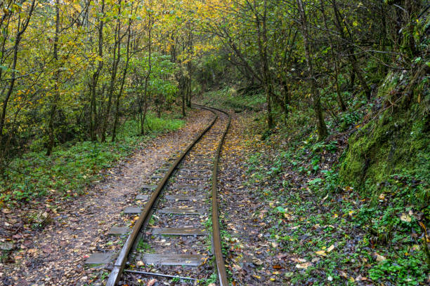 istock Railroad tracks cut through autumn woods 864860674