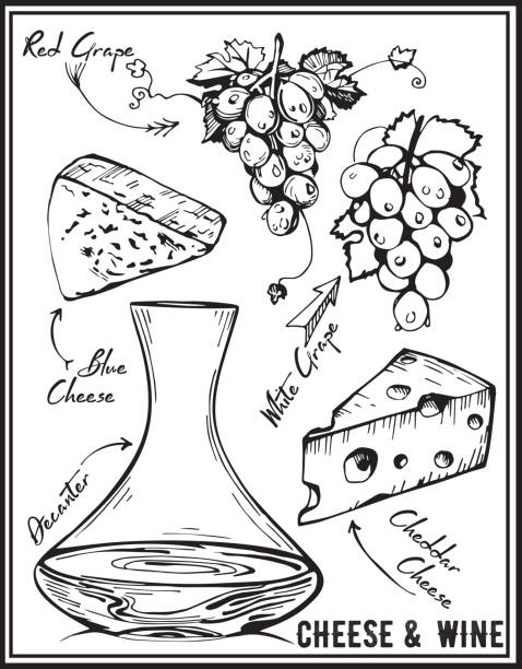 zestaw kilku serów i różnych rodzajów winogron. wektor izolowane ilustracja. ręcznie rysowany obraz. wino i sery. - cheese wine white background grape stock illustrations