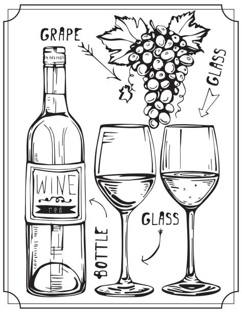 zestaw butelek wina, kieliszków do wina i winogron. vector izolowane illustration.vintage obrazu. - cheese wine white background grape stock illustrations