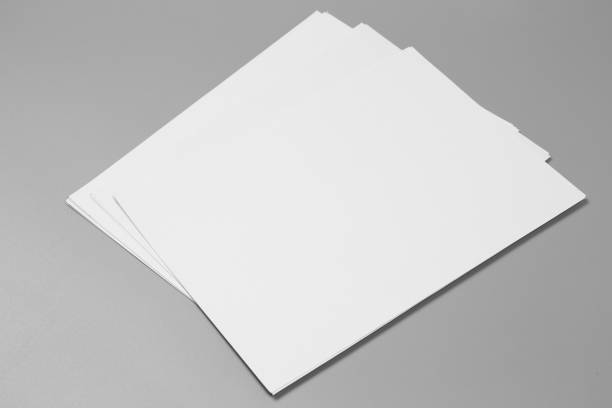 istock Blank portraits. changeable background / white paper isolated on gray. identity design, corporate templates, company style, set of booklets, blank white folding paper flyer 864885152