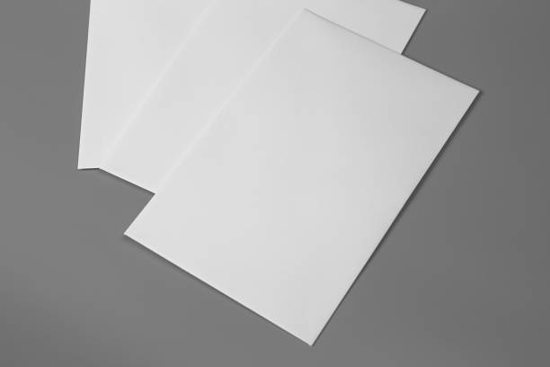 istock Blank portraits. changeable background / white paper isolated on gray. identity design, corporate templates, company style, set of booklets, blank white folding paper flyer 864885936