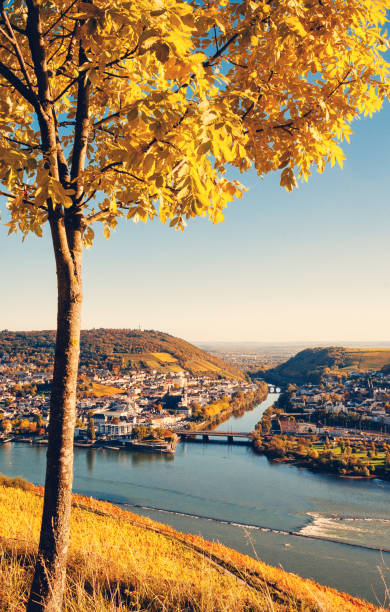 istock View to Bingen and the Nahe river 864886888