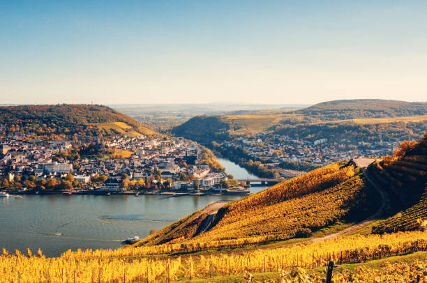 istock View to Bingen and the Nahe river 864890030