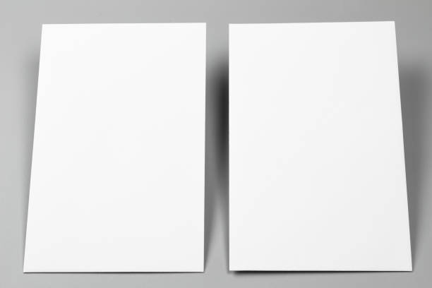 istock Blank portraits. changeable background / white paper isolated on gray. identity design, corporate templates, company style, set of booklets, blank white folding paper flyer 864896794