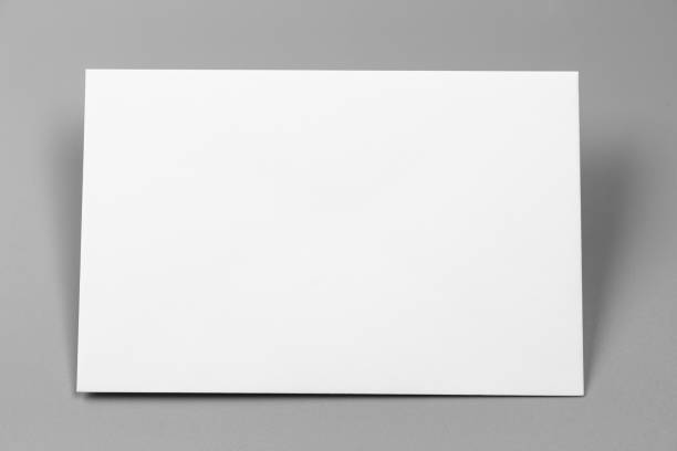 istock Blank portraits. changeable background / white paper isolated on gray. identity design, corporate templates, company style, set of booklets, blank white folding paper flyer 864899966
