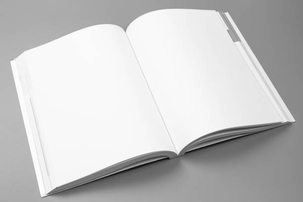 istock Blank portraits. changeable background / white paper isolated on gray. identity design, corporate templates, company style, set of booklets, blank white folding paper flyer 864900730