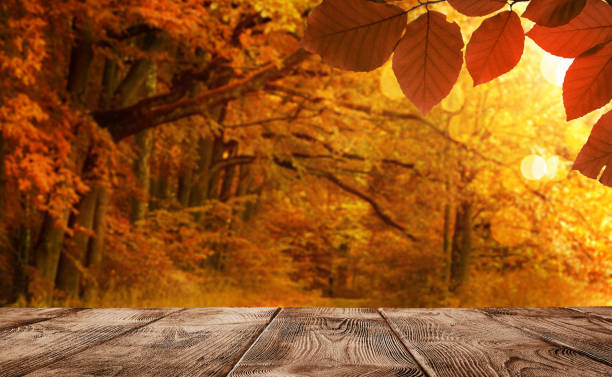 Empty wooden table over defocused autumn background Empty wooden table over defocused autumn background with copy space fall picnic table stock pictures, royalty-free photos & images