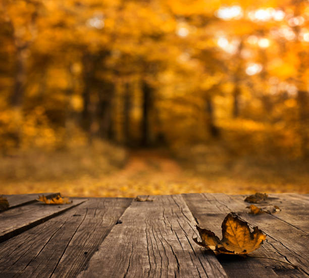 Empty wooden table over defocused autumn background Empty wooden table over defocused autumn background with copy space fall picnic table stock pictures, royalty-free photos & images