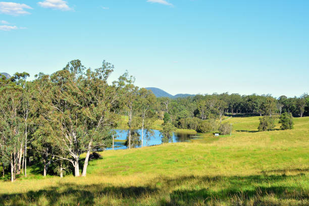istock glass house mountain 864911778