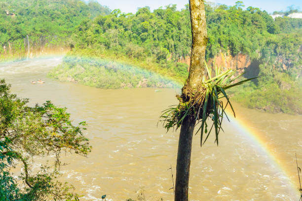 The waterfalls, rainbow and tourist boats in the Iguazu National Park, on the border of Argentina and Brazil. Argentinian side