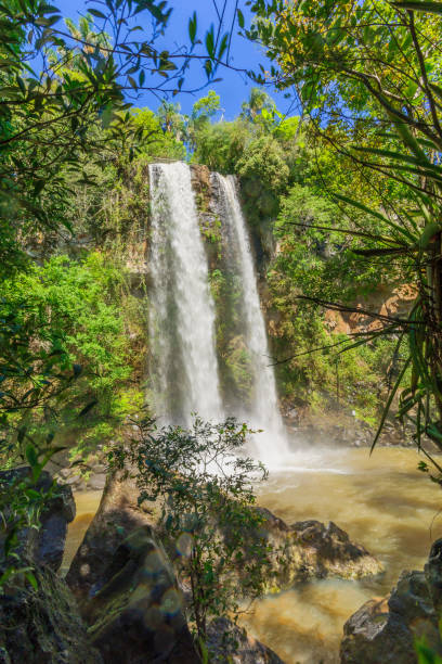 istock Iguazu National Park 864917892