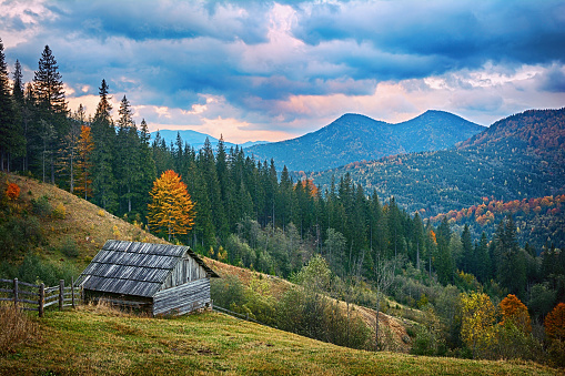Beautiful morning in the Ukrainian Carpathians. Mountain landscape view with traditional countryside