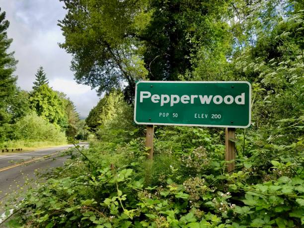 istock Sign for Pepperwood, CA 864921934