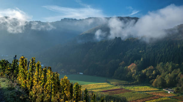 istock Ahrvalley in the morning 864925904
