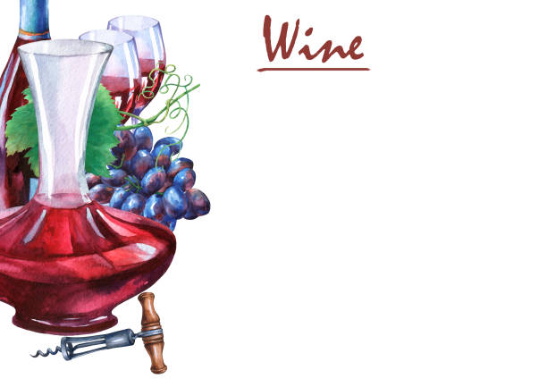 illustrazioni stock, clip art, cartoni animati e icone di tendenza di abbinamento con grappolo di uve fresche, cavatappi, decanter e bicchieri di vino rosso. dipinto ad acquerello disegnato a mano su sfondo bianco. - decanter white red black