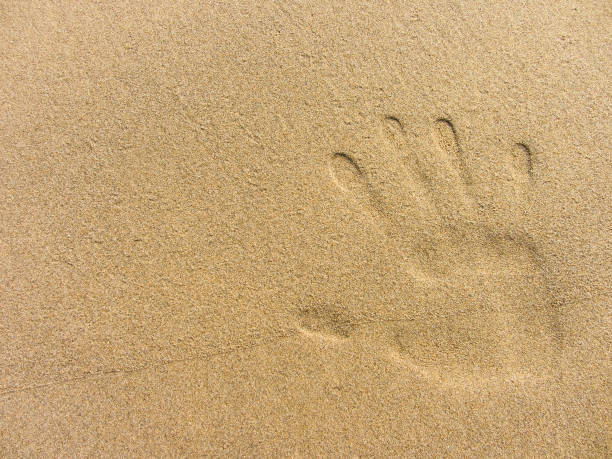 istock playing with sand long the shoreline 864929592