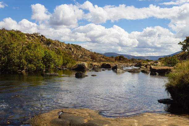 istock Panorama from South Africa 864929760