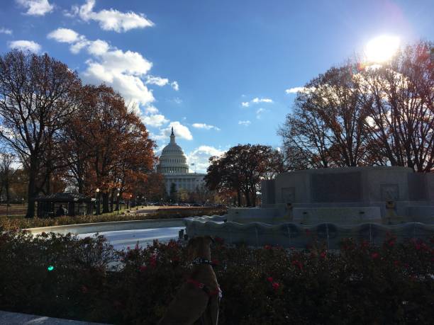 istock Capitol Hill view with orange fall leaves 864936466