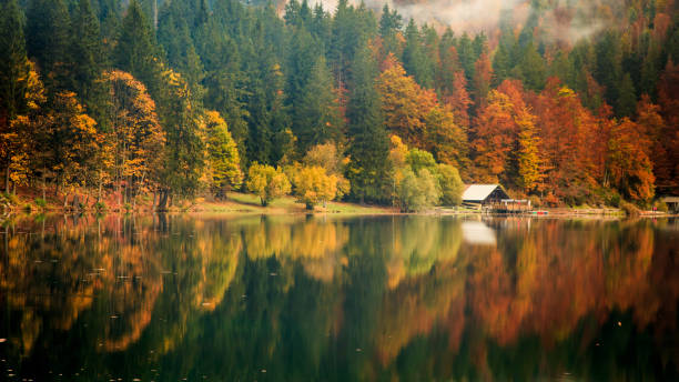 istock Autumn foliage at the alpine lake 864955026