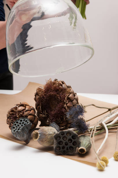 istock Dried up plants put under glass pot 864962010