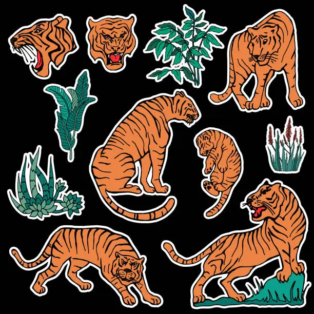 Vector illustration of Set of tiger and plants patches elements.