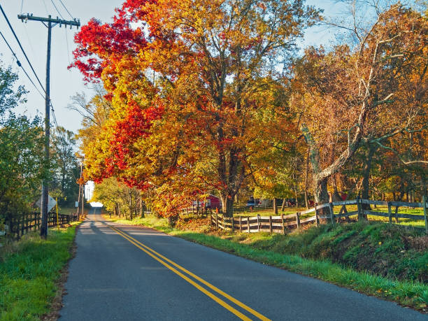 istock Autumn Country Road 864969364
