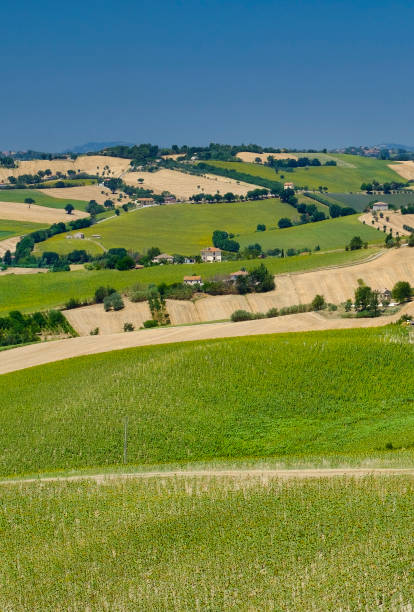 istock Summer landscape in Marches (Italy) near Ostra 864975976